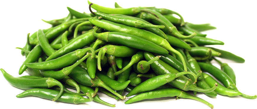 MIRCHI